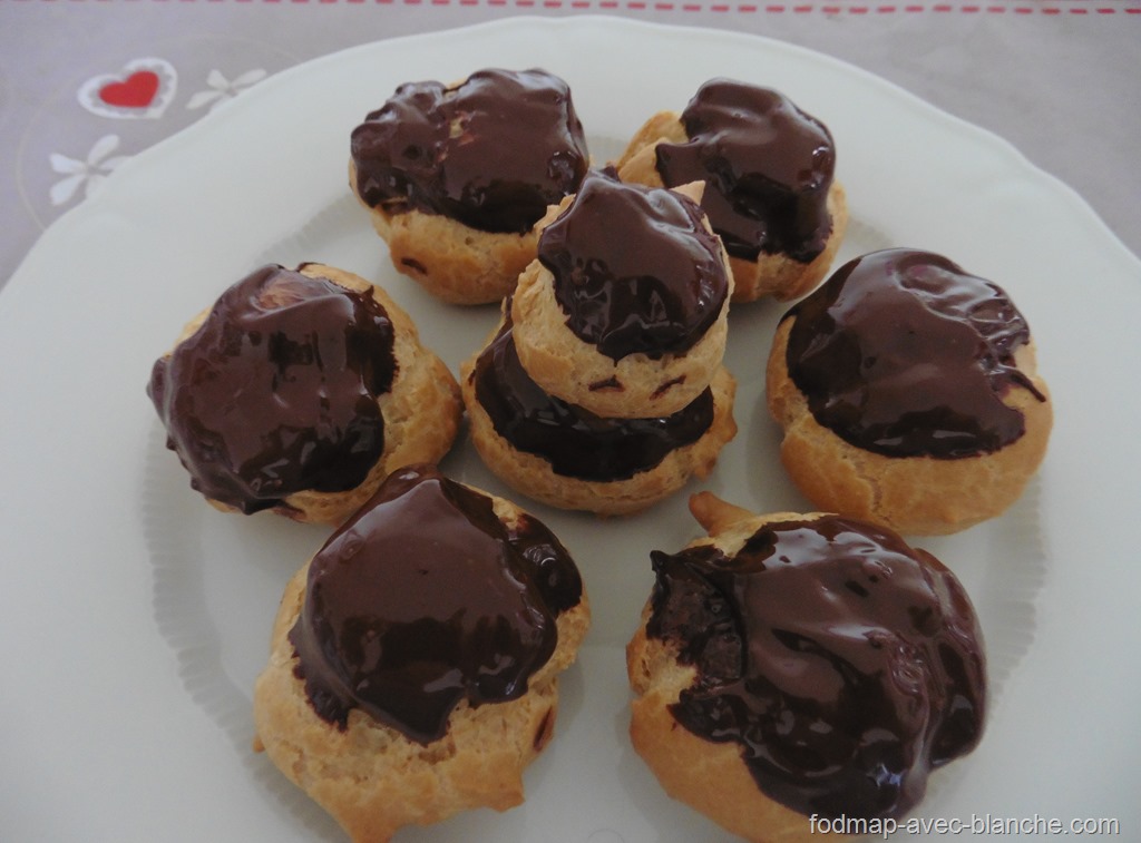 2016.07.01 PHOTO FODMAP choux 7