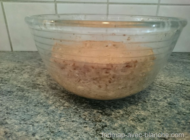 Recette Bowl cake à la banane pauvre en FODMAP, sans lactose, sans gluten 5