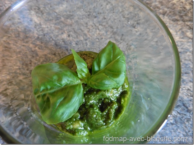 Pesto aromatisé à l'ail pauvre en FODMAP 1