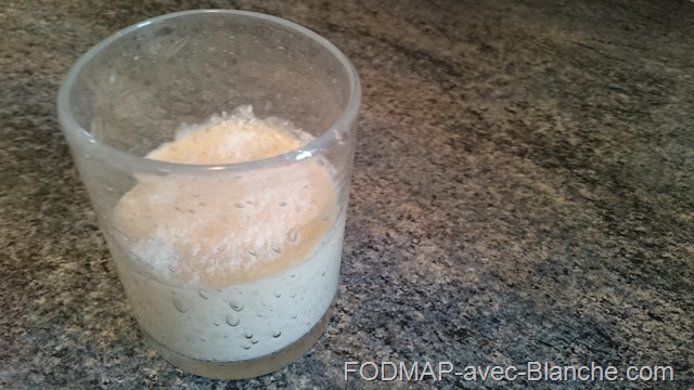 recette pudding poudinc tapioca noix de coco pauve en FODMAP