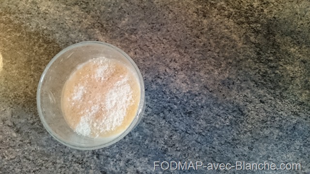 recette pudding poudinc tapioca noix de coco pauve en FODMAP