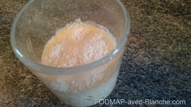 recette pudding poudinc tapioca noix de coco pauve en FODMAP