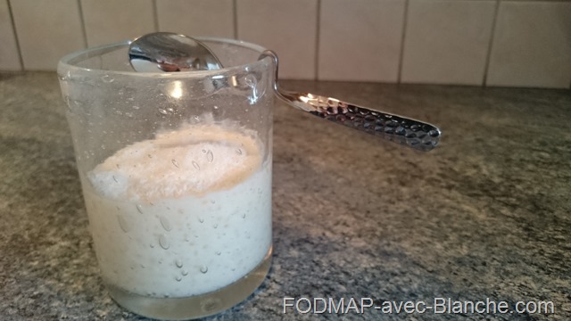 recette pudding poudinc tapioca noix de coco pauve en FODMAP