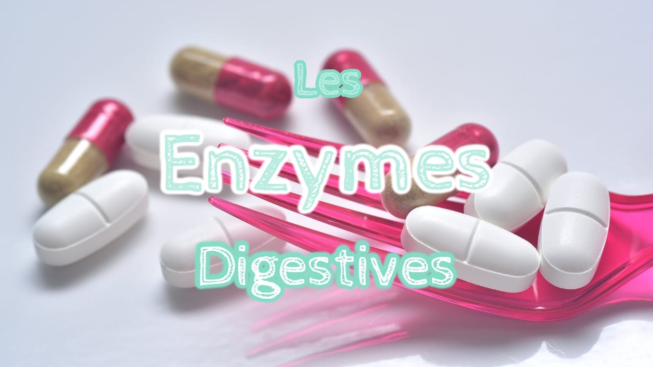Lactase et enzymes digestives