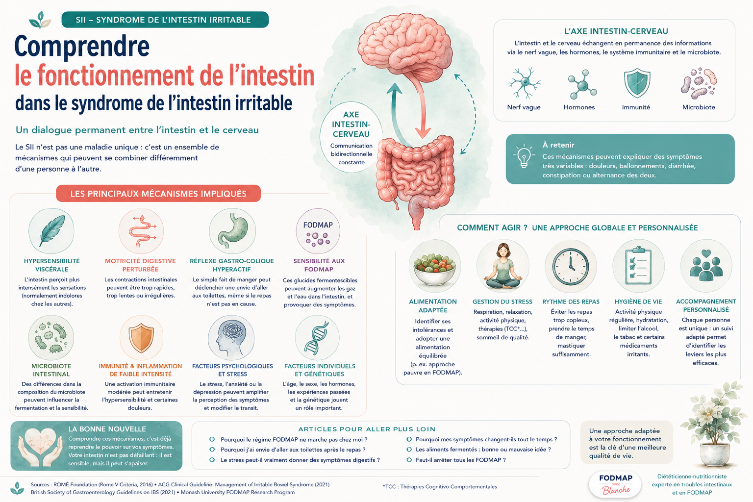 Comprendre le fonctionnement de l’intestin dans le syndrome de l’intestin irritable (SII)